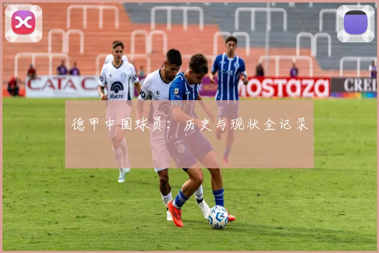 德甲中国球员：历史与现状全记录