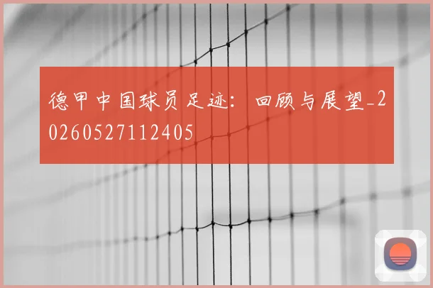 德甲中国球员足迹:回顾与展望_20260527112405