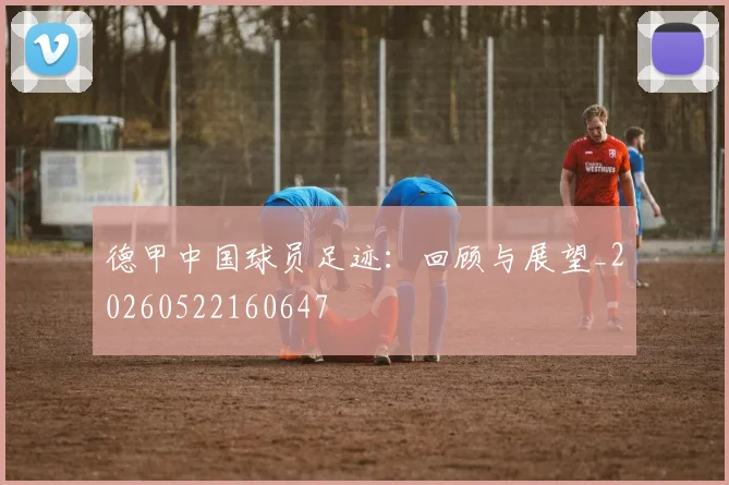 德甲中国球员足迹：回顾与展望_20260522160647