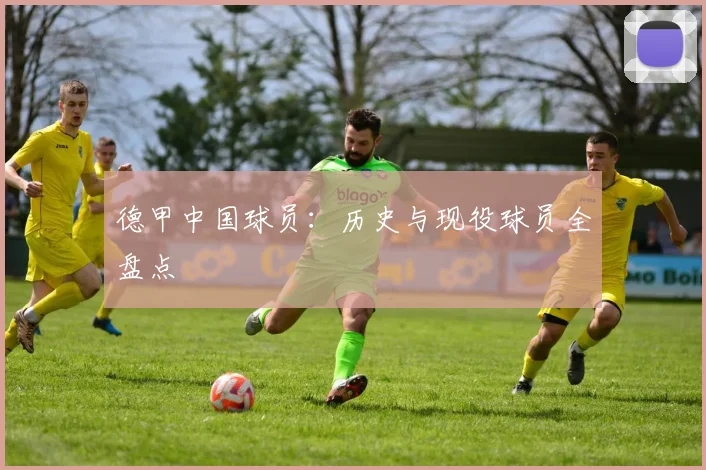 德甲中国球员:历史与现役球员全盘点